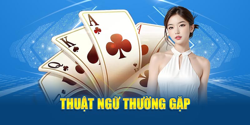 Thuật ngữ thường gặp